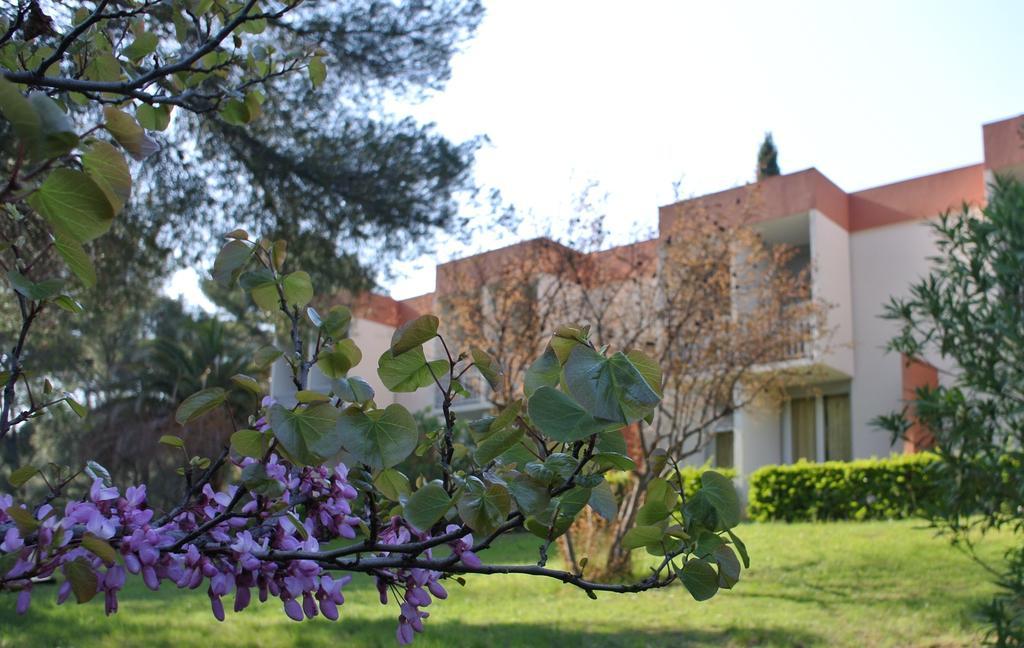 דירות סן-סיר-סור-מר Le Domaine Des Oliviers מראה חיצוני תמונה